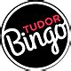 tudor bingo lotto